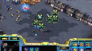 StarCraft Brood War [FPVOD] 27 08 2008 White Ra PvP Протоссы атакуют