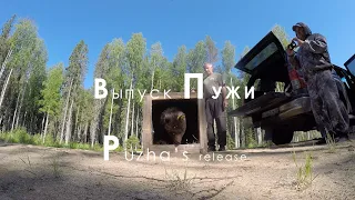 ВЫПУСК ПУЖИ 2021 / PUZHA'S RELEASE 2021