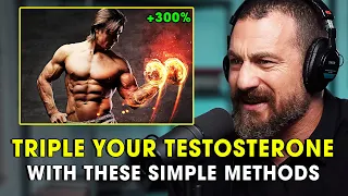 The Only Testosterone Video You'll Ever Need - Andrew Huberman