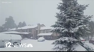 Winter storm drapes Flagstaff in snow