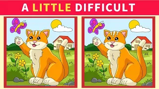 【Spot the difference】Find the differences in 90seconds  Japanese Puzzle 5