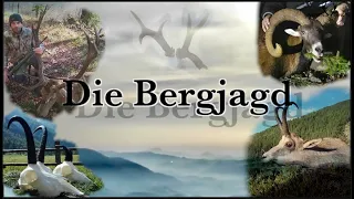 🏔Bergjagd Special- 12 Monate auf Jagd  in den Bergen...