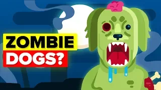 Why Did Scientists Create Zombie Dogs?