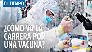 ¿En qué va el desarrollo de la vacuna contra la Covid-19?