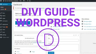 How To Change  Body Text Size Divi Theme WordPress Website