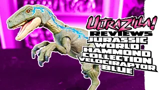 JURASSIC WORLD HAMMOND COLLECTION VELOCIRAPTOR BLUE | Review 2233