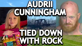 Audrii Cunningham: BREAKING Steven McDougal Affidavit REVEALED!