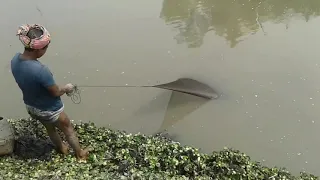 STRONGEST FISH Vs STRONGEST PROFESSIONAL FISHERMEN together PRIMITIVE FISH TRAP