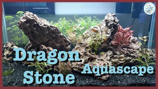 My 80cm Dragon Stone Aquascape