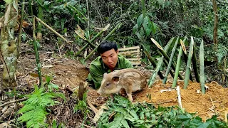 FULL VIDEO : 150 days of survival in the wild, feeding for wild boars, survival instincts