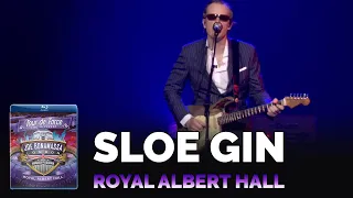 Joe Bonamassa Official - "Sloe Gin" - Tour de Force: Royal Albert Hall