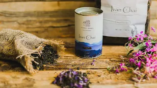 Discover Ivan Chai - A beneficial and forgotten herbal infusion