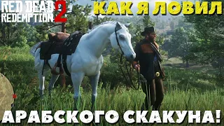 Red Dead Redemption 2 - Как я ловил Арабского скакуна!