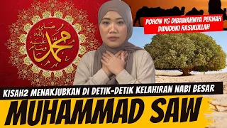 DETIK2 KELAHIRAN NABI BESAR KITA, NABI MUHAMMAD SAW