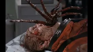 Eight legged freaks Movie Dangerous