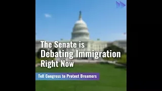 The Senate Is Debating Immigration Right Now