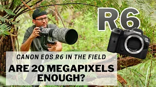 EOS R6 - Are 20 Megapixels enough? Canon EOS R6 in the field - Bird Photography review