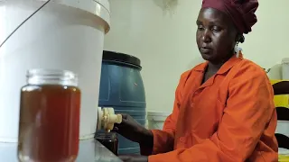 Beekeeping flourishes in Uganda