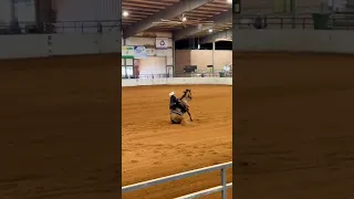 Reining fails