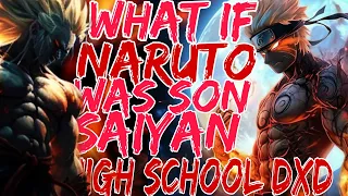 What if Naruto was Son of Saiyan in High School dxd movie 1