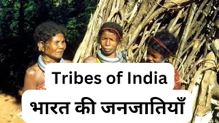 Tribes of India important topic of Indian Geography for UPPSC RO, PCS, BPSC, RO, ARO, UPSSSC PET