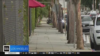 One of Venice's largest, oldest tent encampments cleared