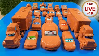 Clean up muddy minicars & disney pixar car convoys! Play in the garden