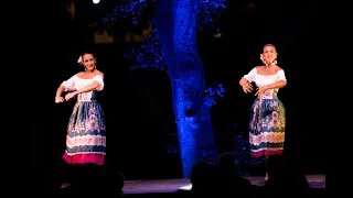 EL VITO CORDOBES Musica di Paco Montalvo coreografia di Patrizia Vennero.