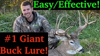 Best Bait For Big Bucks! Secret Legal Bait In Every State!