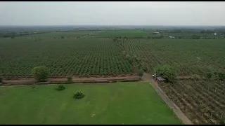 Kalrav farm  😍PUBG~RAHUL