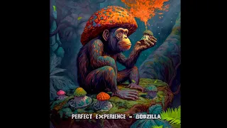 Perfect Expirence - Godzilla