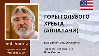 Пчеловодство в Аппалачах, горах Голубого Хребта (Боб Бинни, США)