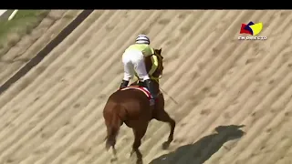 6ta. carrera | LXXXII Clásico Internacional Sprinters | Hipódromo La Rinconada | Reunión 35 | 2022