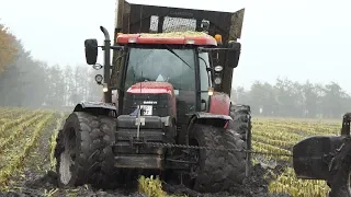 WORST CASE IH STUCKS in 2019 | Case IH Puma 200 & 230 TOTALLY STUCK in MUD | DK Agri