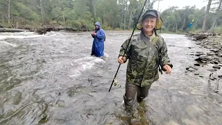 Ловим хариус в дождь на швабру. 29.08.23г.