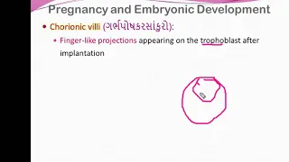 Human Reproduction14 1