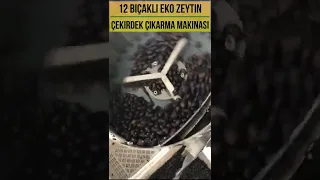 12 BIÇAKLI EKO ZEYTİN ÇEKİRDEĞİ ÇIKARMA MAKİNASI/ECO CONTINUOUS OLIVE PITTING MACHINE WITH 12 KNIVES