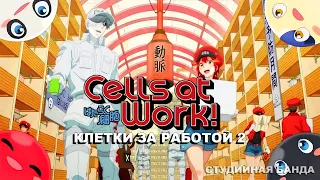 АНИМЕ Cells at Work2 | Клетки за работой 2 | Hataraku Saibou 2 | ОЗВУЧКА