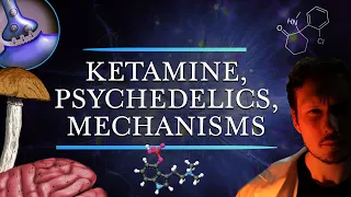 Ketamine & Psychedelics - Do They Share Therapeutic Mechanisms?