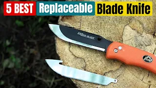 Best Replaceable Blade Knife in 2024 [Updated]