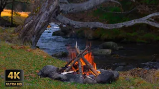 Campfire by the Peaceful River in 4K UltraHD | 3 Hours of Gentle Crackling Fire Sounds