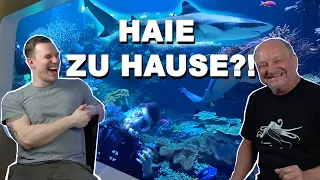 How do I keep a SHARK?! + Exploring a 240.000 liter aquarium with an expert + *english subtitles*