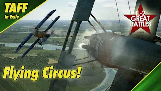 IL-2 Flying Circus || Spring Campaign || Ace in a Day!