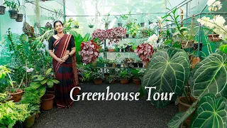 GREENHOUSE TOUR