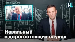 Навальный о дорогостоящих олухах