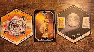 GEMINI ♊️  “🌕NOT GONNA BE A SECRET MUCH LONGER!” NEXT 48HRS ORACLE & TAROT READING MAY 2024