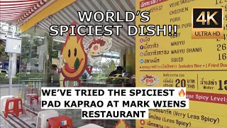 [4k] SPICIEST PAD KAPRAO 🔥 at Phed Mark, BANGKOK - MUST EAT DISH at MARK WIENS Restaurant, Thai 2023