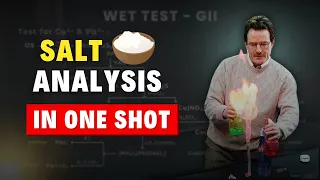 Salt Analysis in One Shot for JEE Mains 2024