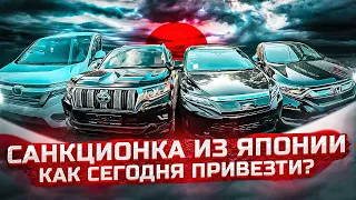 Как привези Санкционные авто из Японии?! Новые поступления!