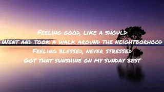 Sunday Best - Surfaces (lyric) feeling good, like i should